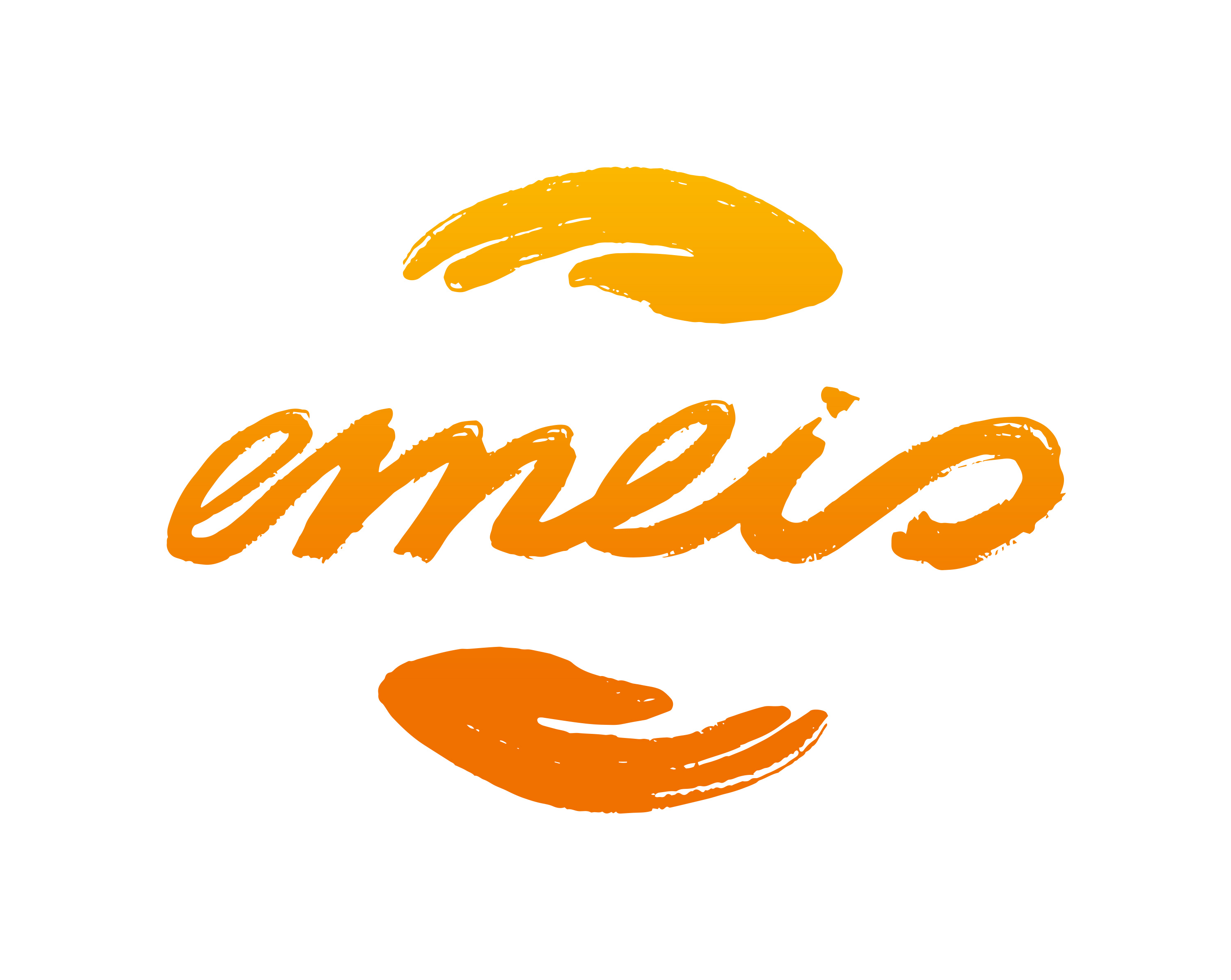 EMEIS GROUPE